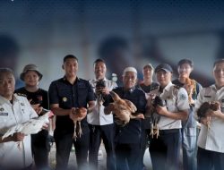Rutan Tanjung Pura Sukses Laksanakan Panen Ayam Kampung dari Lahan Ketapang